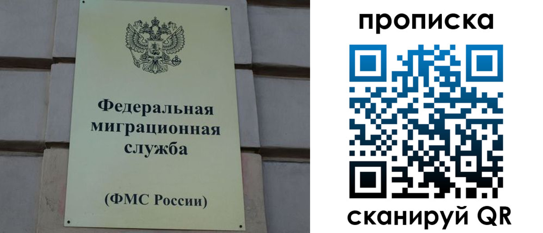 прописка поиск в Старой Руссе